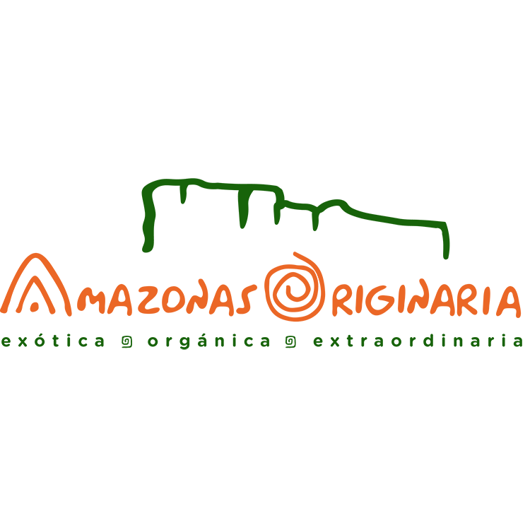 logo final amazonas1